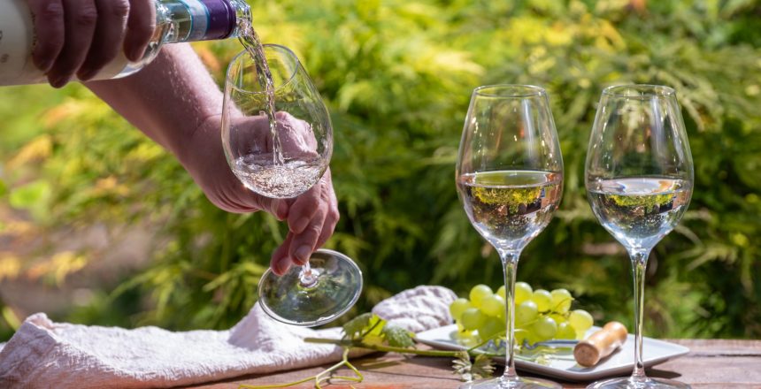 Pouring of Pinot gridgio rose wine for tasting in winery garden in Veneto, Italy. Glasses of cold dry wine served outdoor in sunny day