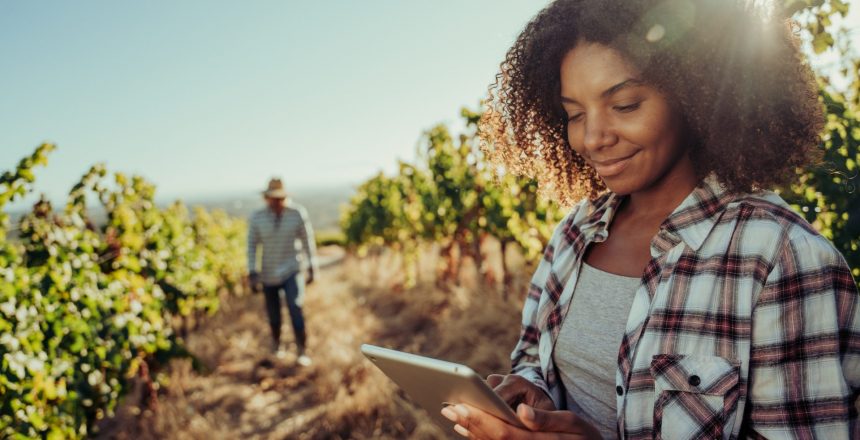 Mixed race female farmer smiling working in vineyards researching about vines on digital tablet with he help of male colleague